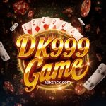 DK999 Game